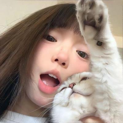 狮子彻夜未眠